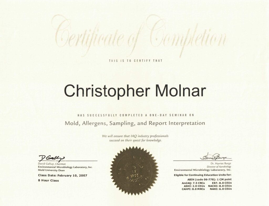 Mold Allergens Sampling and Report Interpretation